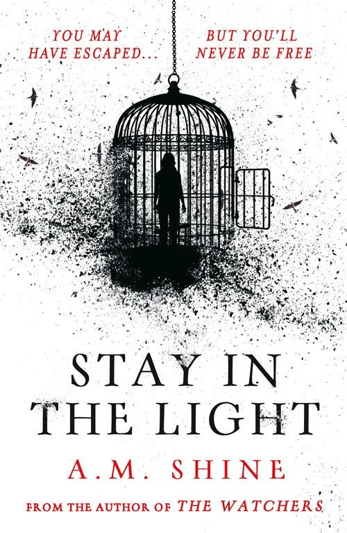 Stay in the Light