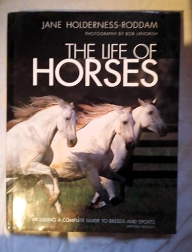 The Life of Horses