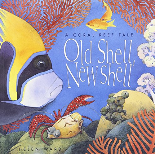Old Shell, New Shell