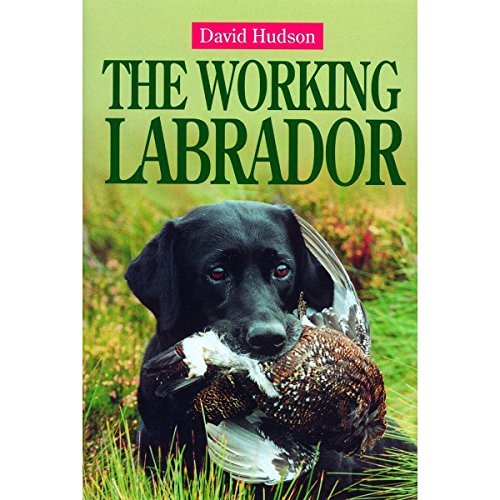 The Working Labrador