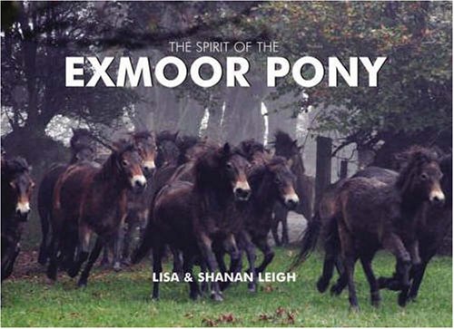 Spirit of the Exmoor Pony
