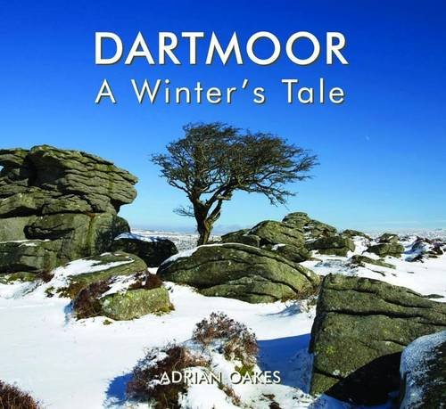 Dartmoor - a Winter's Tale