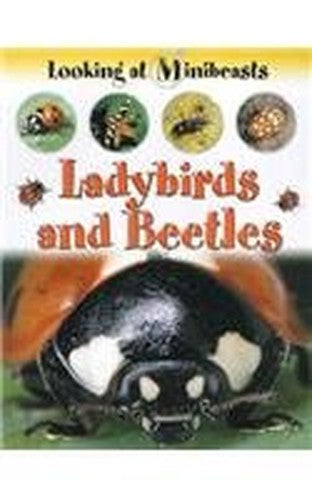 MINIBEASTS LADYBIRDS & BEETLES