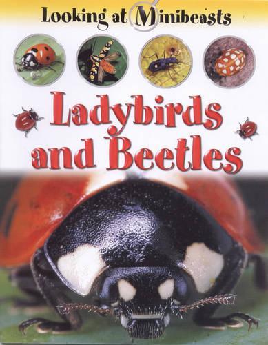 MINIBEASTS LADYBIRDS & BEETLES