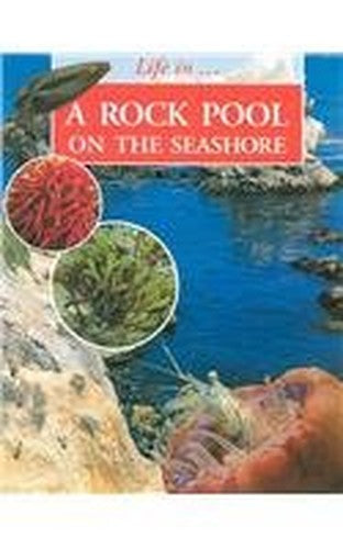 A Rockpool on the Seashore