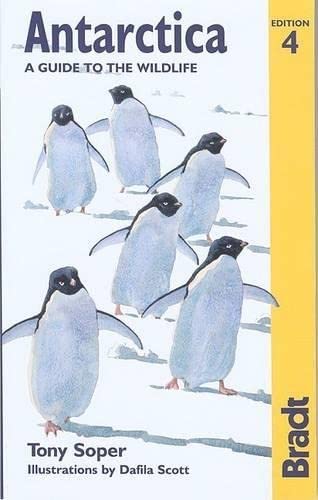 Antarctica Wildlife