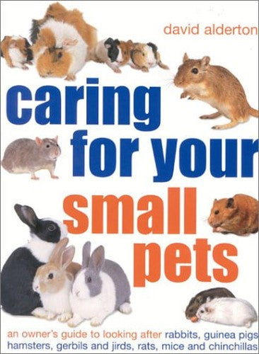 Caring for Your Small Pets: An Owner's Guide to Looking after Rabbits, Guinea Pigs, Hamsters, Gerbils and Jirds, Rats, Mice and Chinchillas