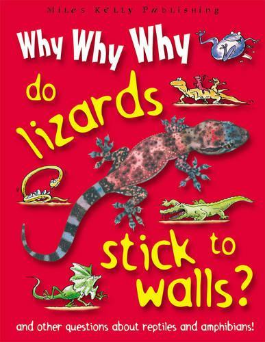 Why Why Why Do Lizards Stick to Walls?