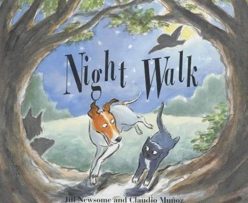Night Walk