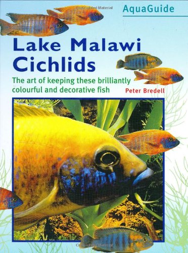 Malawi Cichlids