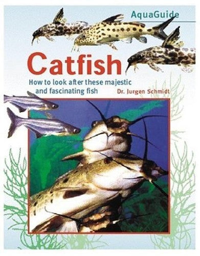 AquaGuide to Catfish