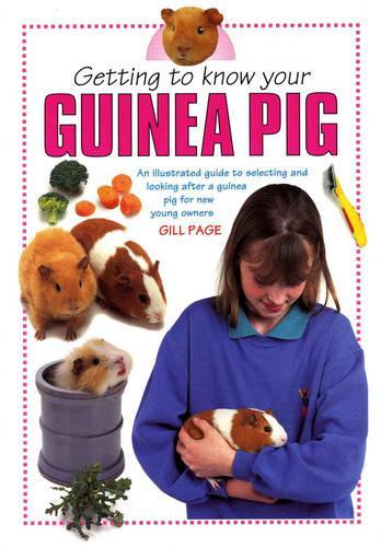 Getting to Know Your Guinea Pig*** O/p