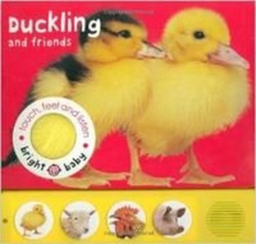 Touch, Feel & Listen - Duckling and Friends