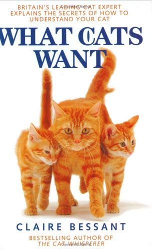What Cats Want