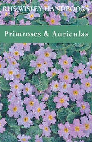 Primroses and Auriculas
