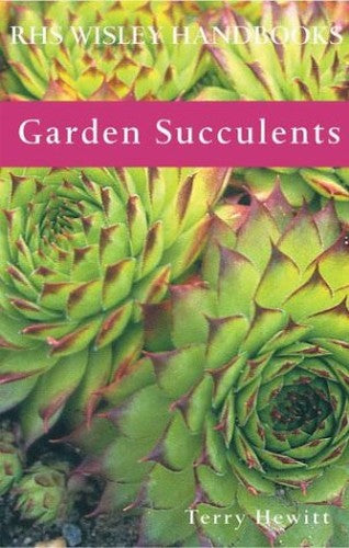 Garden Succulents