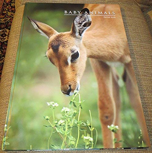 BABY ANIMALS