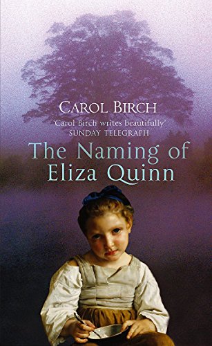 The Naming Of Eliza Quinn