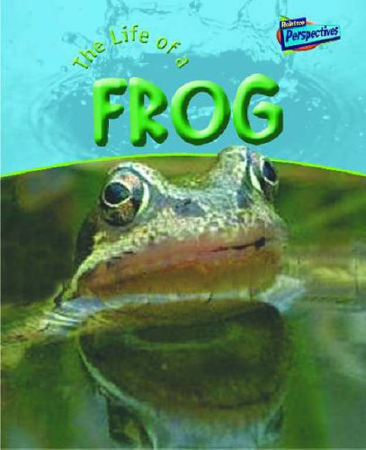 The Life Of A Frog