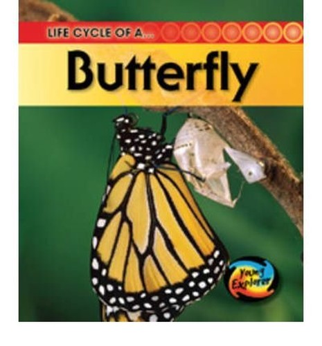 The Life Of A Butterfly