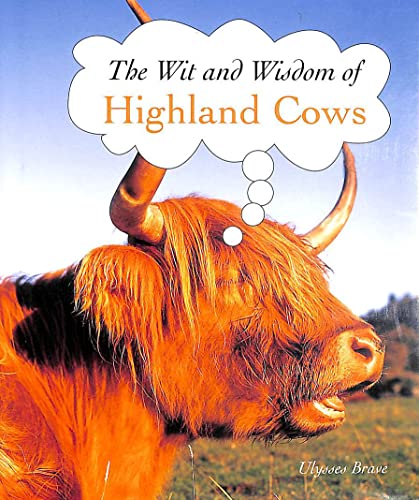 Highland Cows