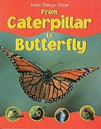 How Things Grow Caterpillar to Butterfly