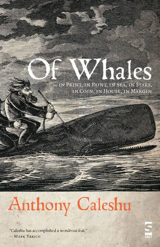 Of Whales