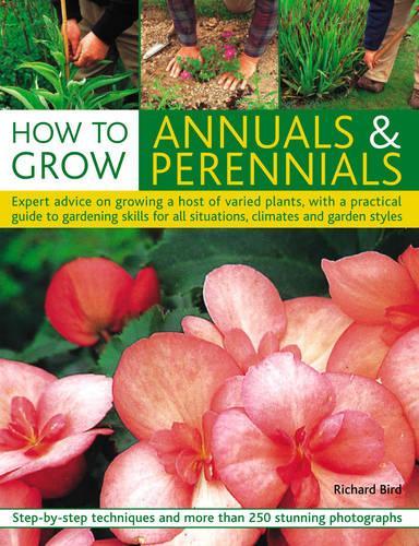 How to Grow Annuals and Perennials