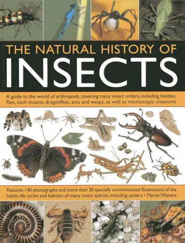 Natural History of Insects