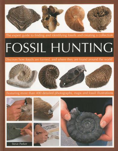 Fossil Hunting
