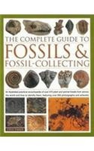 The complete guide to Fossils fossilcollecting