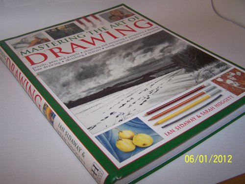 Mastering the Art of Drawing