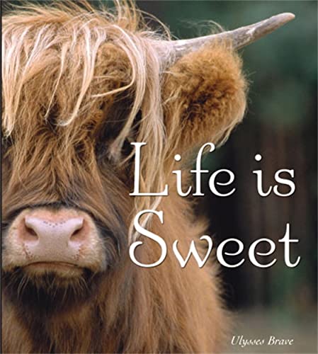 Life is Sweet
