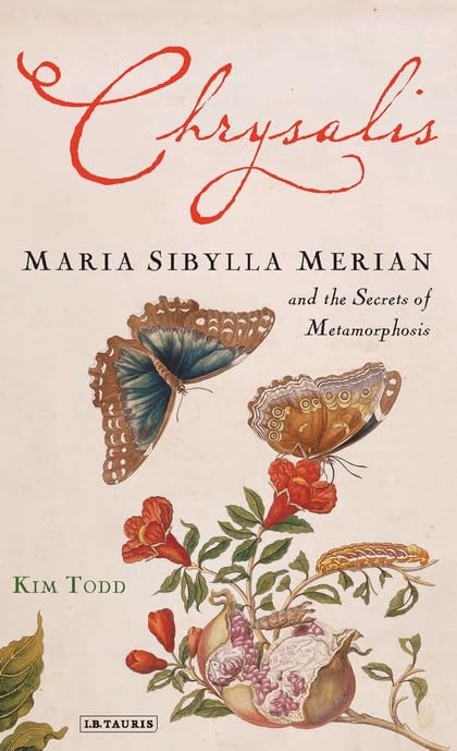 Chrysalis
