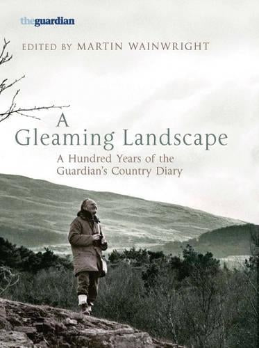 A Gleaming Landscape