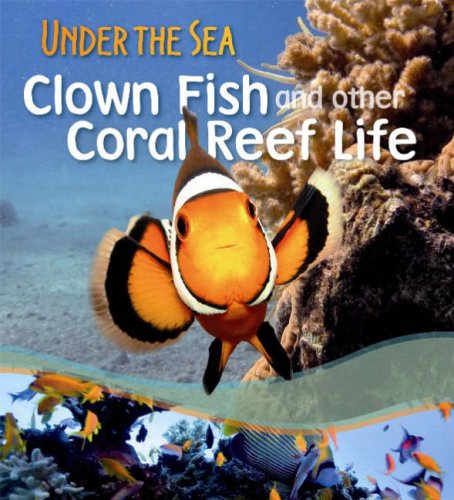 Clown Fish and Other Coral Reef Life