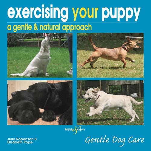 Exercising Your Puppy: a Gentle & Natural Approach