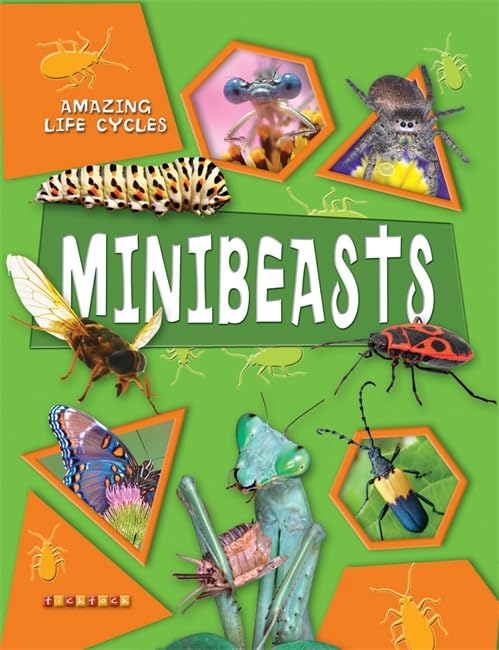 Amazing Life Cycles: Minibeasts