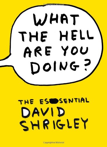 What The Hell Are You Doing?: The Essential David Shrigley