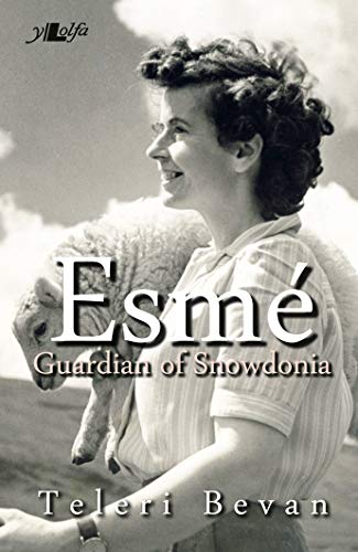 Esme - Guardian of Snowdonia
