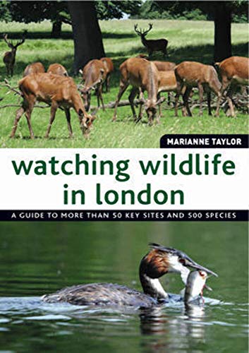 Watching Wildlife In London