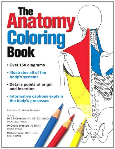 Anatomy Colouring Book
