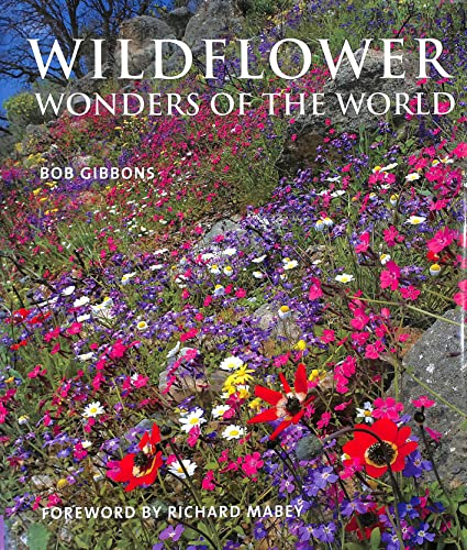 Wildflower Wonders