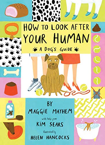 How to Look After Your Human