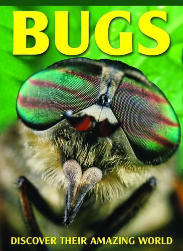Bugs