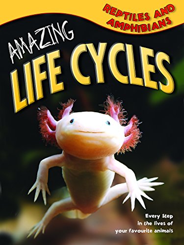 Amazing Life Cycles: Reptiles and Amphibians