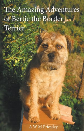 The Amazing Adventures of Bertie the Border Terrier