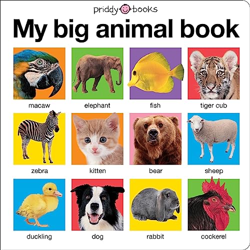 My Big Animal Book