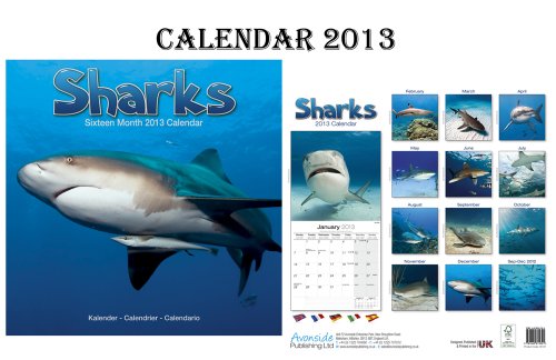 SHARKS CALENDAR 2013 + FREE SHARKS FRIDGE MAGNET