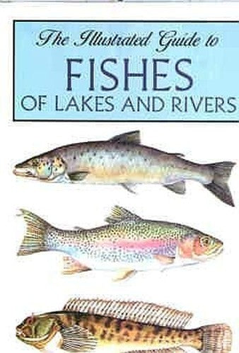 The Illustrated Guide to Fishes of Lakes and Rivers